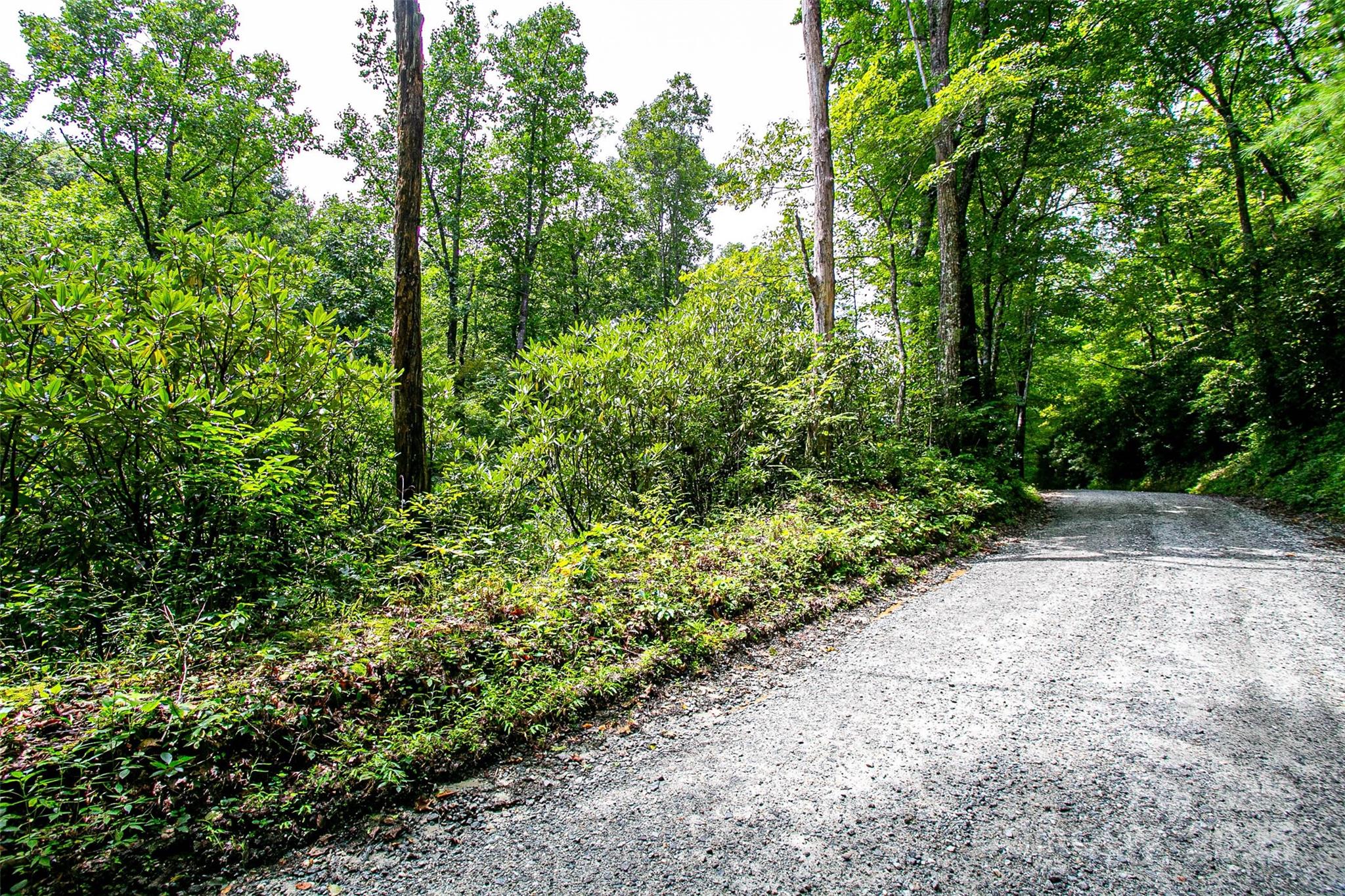 0000 Happy Acres Road Brevard NC 28712