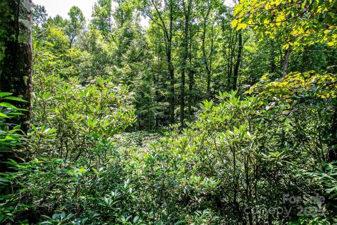 0000 Happy Acres Road Brevard NC 28712