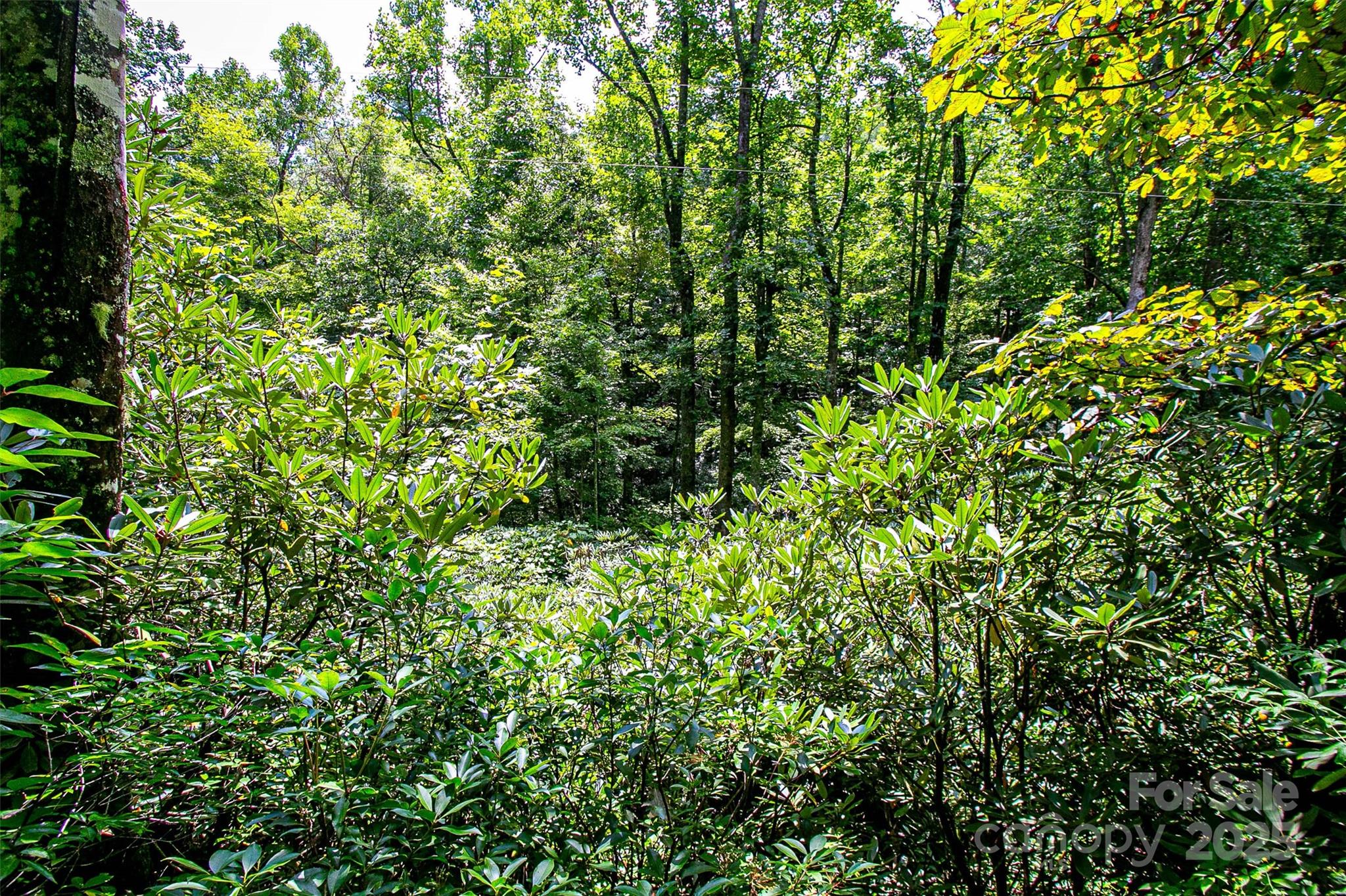0000 Happy Acres Road Brevard NC 28712