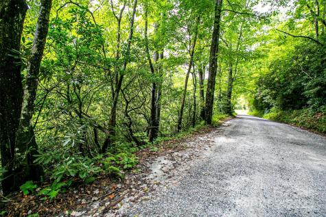 0000 Happy Acres Road Brevard NC 28712