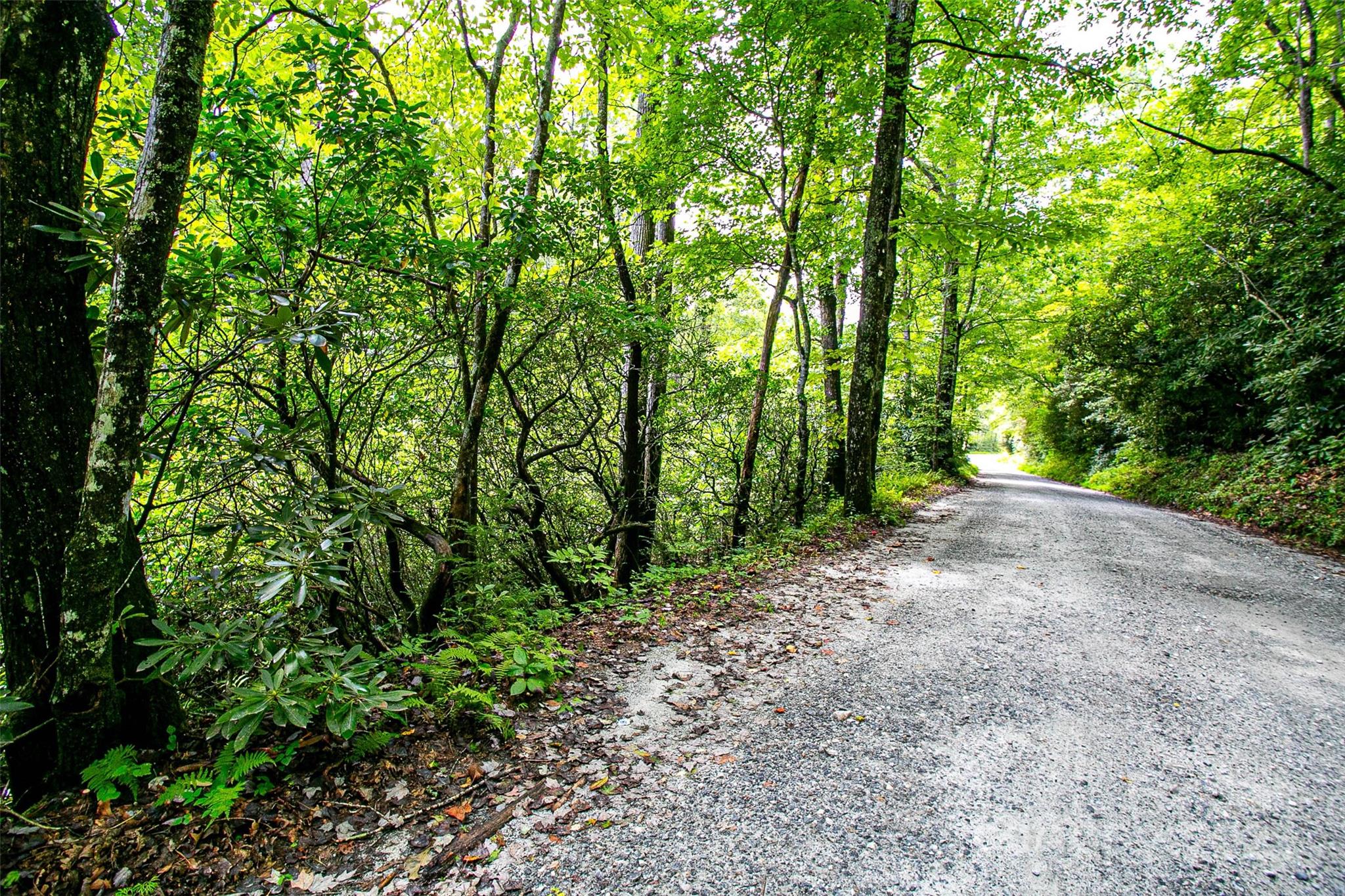 0000 Happy Acres Road Brevard NC 28712