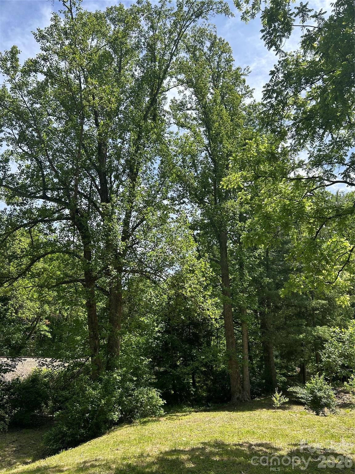 28 Pinecrest Drive Asheville NC 8803