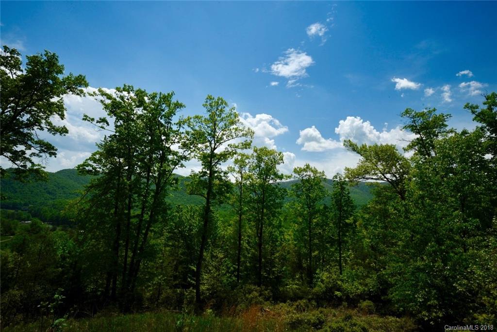48 Smokey Ridge Trail Arden NC 28704