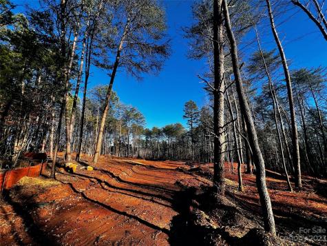 130 Hunt Camp Trail Davidson NC 28036