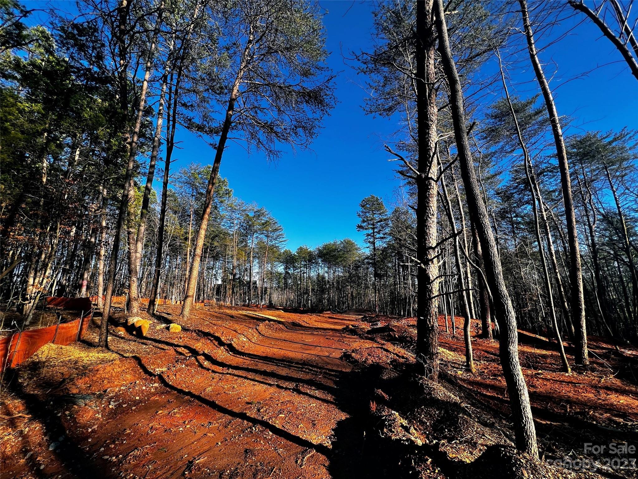 130 Hunt Camp Trail Davidson NC 28036