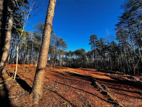 130 Hunt Camp Trail Davidson NC 28036
