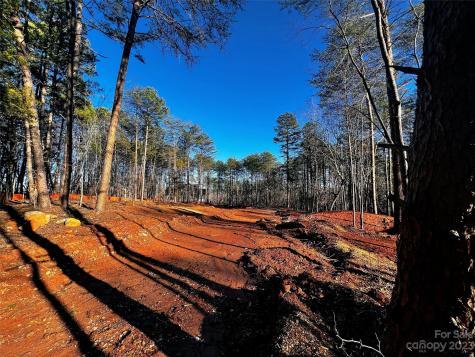 130 Hunt Camp Trail Davidson NC 28036