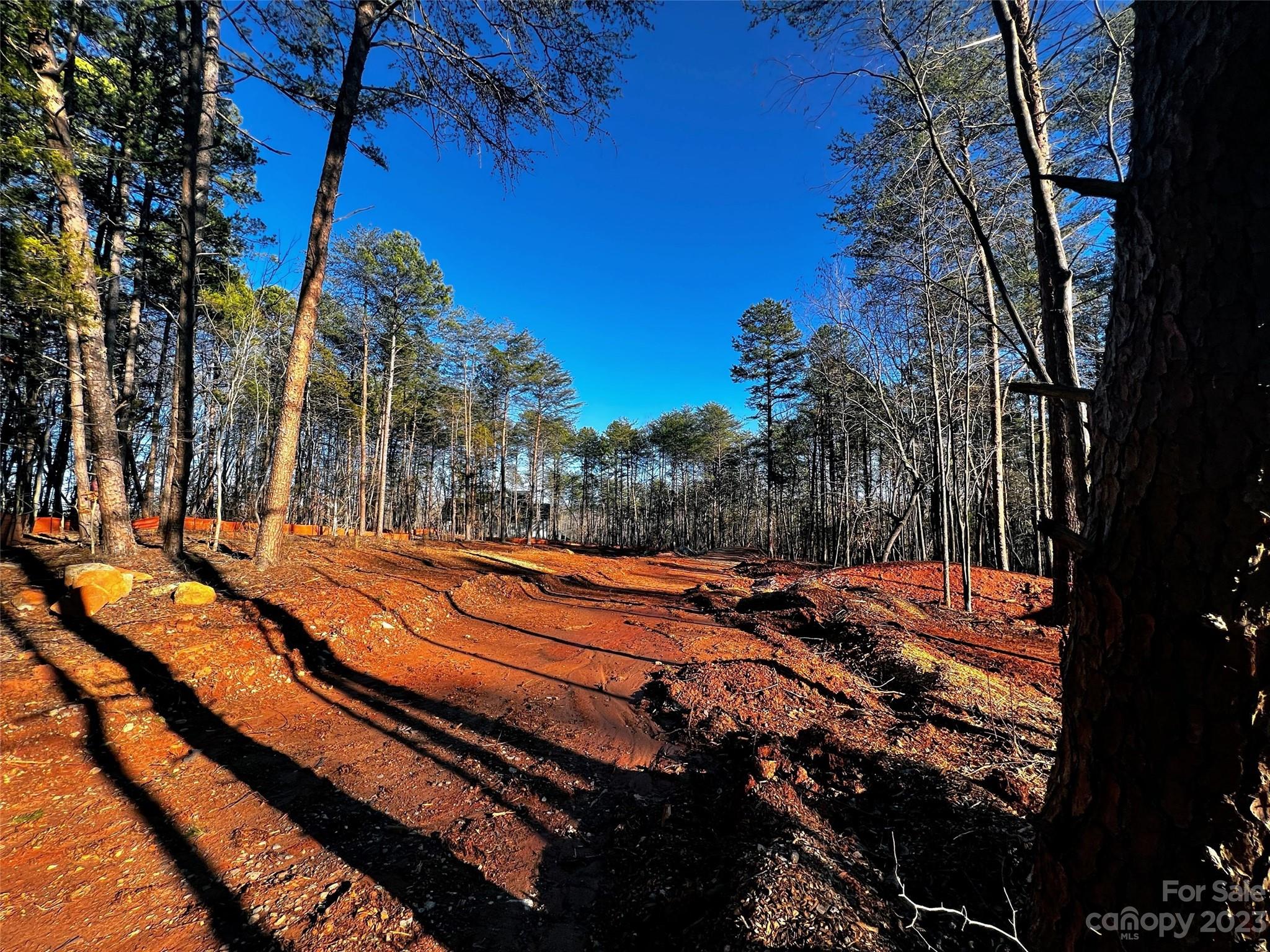 130 Hunt Camp Trail Davidson NC 28036