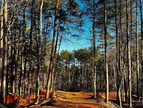 130 Hunt Camp Trail Davidson NC 28036