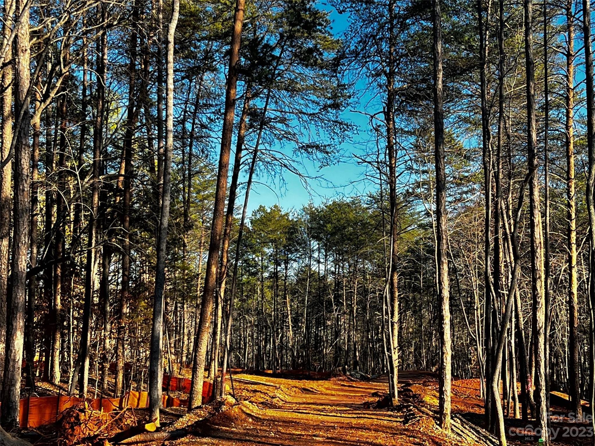 130 Hunt Camp Trail Davidson NC 28036
