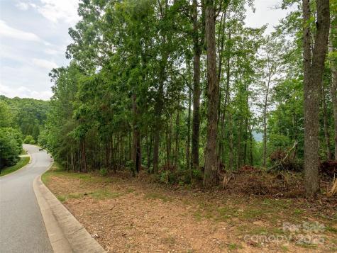 28 Windcliff Drive Asheville NC 28803