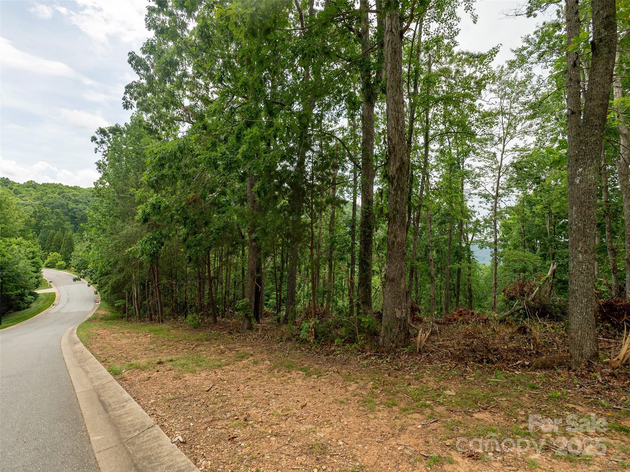 28 Windcliff Drive Asheville NC 28803