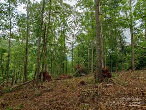 28 Windcliff Drive Asheville NC 28803