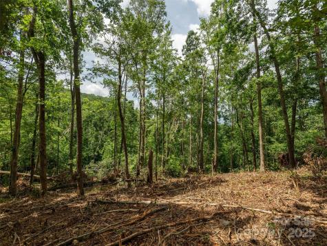 28 Windcliff Drive Asheville NC 28803