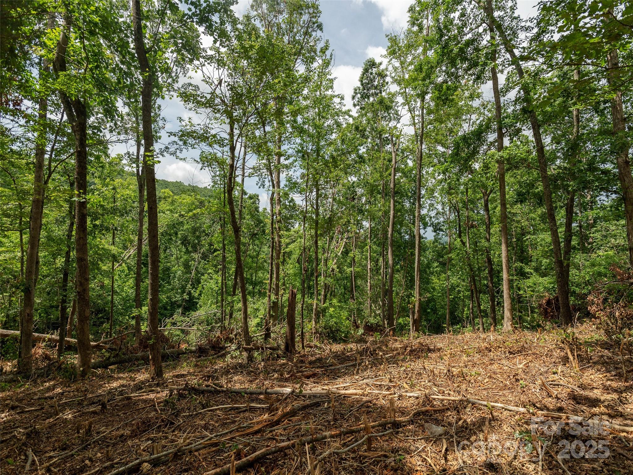 28 Windcliff Drive Asheville NC 28803