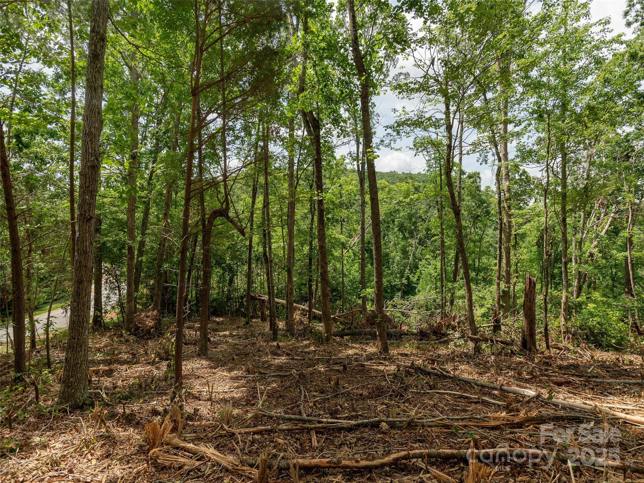28 Windcliff Drive Asheville NC 28803