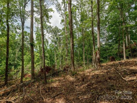 28 Windcliff Drive Asheville NC 28803