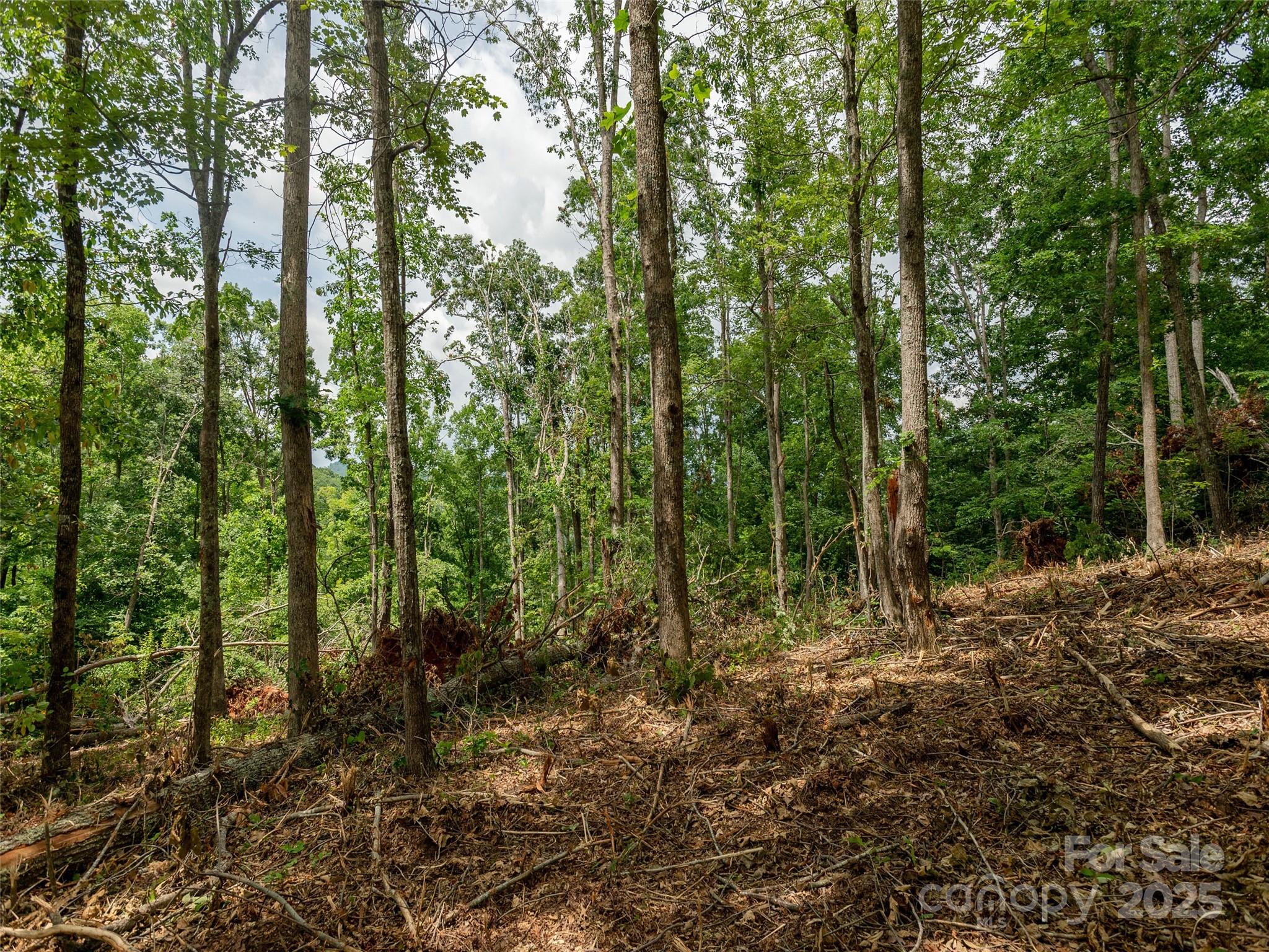 28 Windcliff Drive Asheville NC 28803