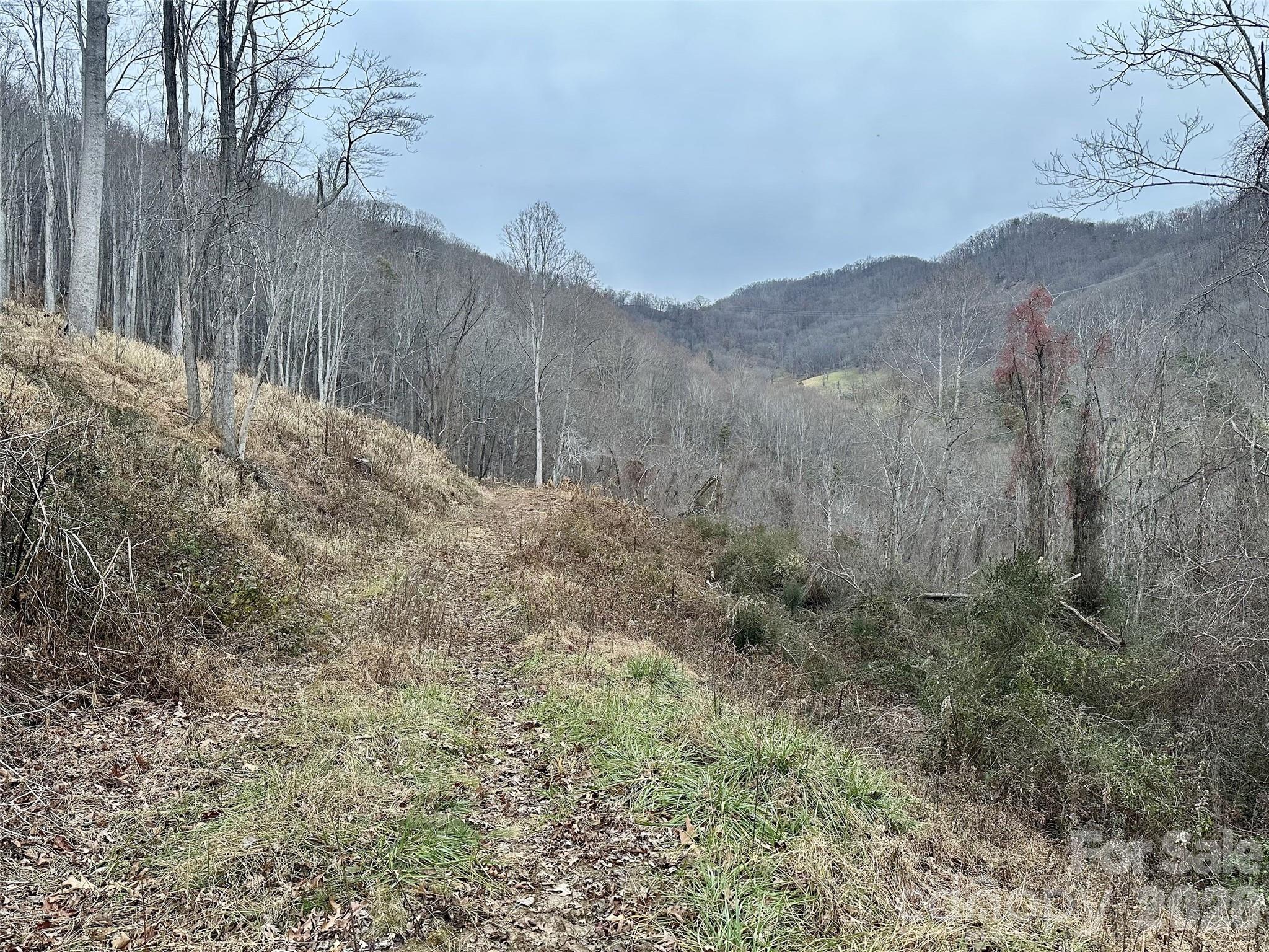 00 Queen Cove Road Waynesville NC 28785