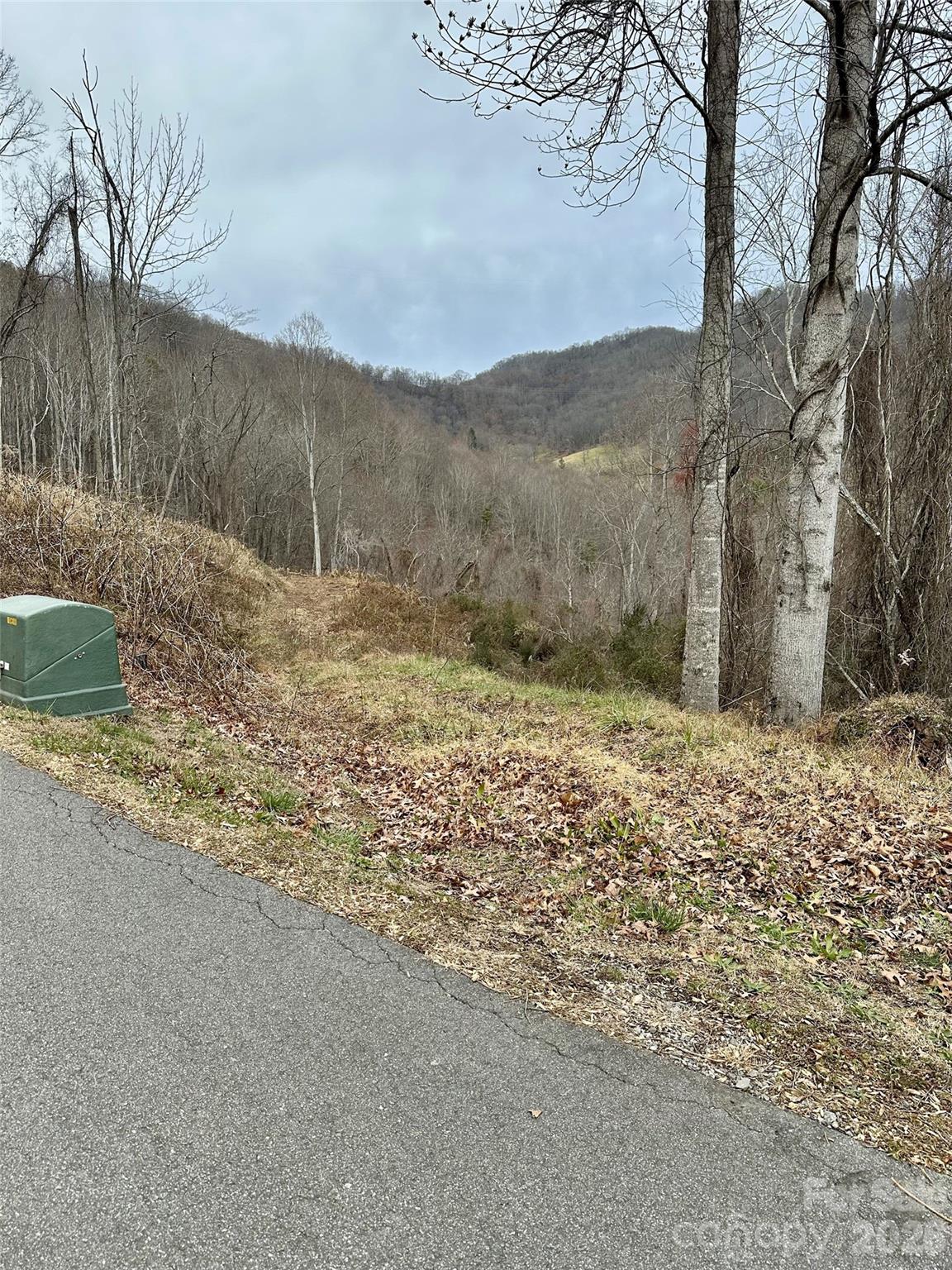00 Queen Cove Road Waynesville NC 28785