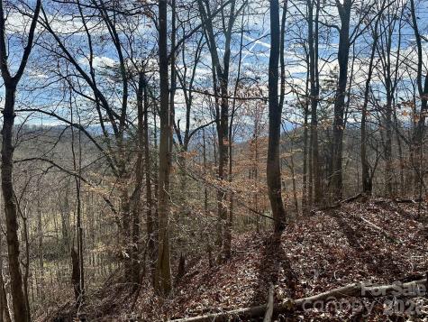 00 Queen Cove Road Waynesville NC 28785
