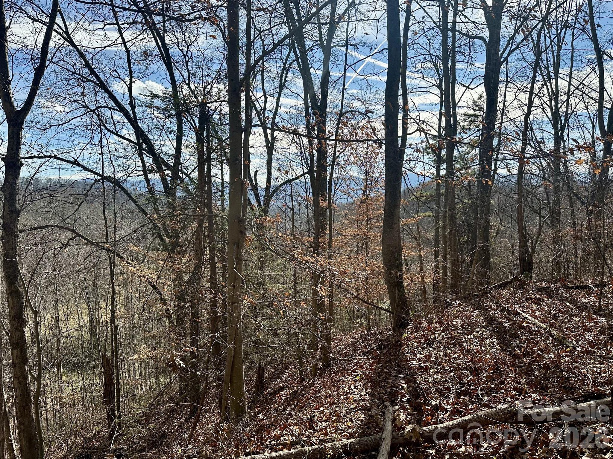 00 Queen Cove Road Waynesville NC 28785