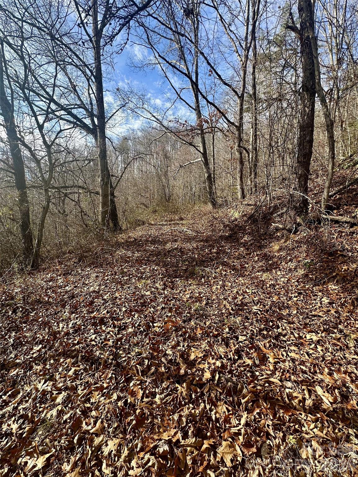 00 Queen Cove Road Waynesville NC 28785