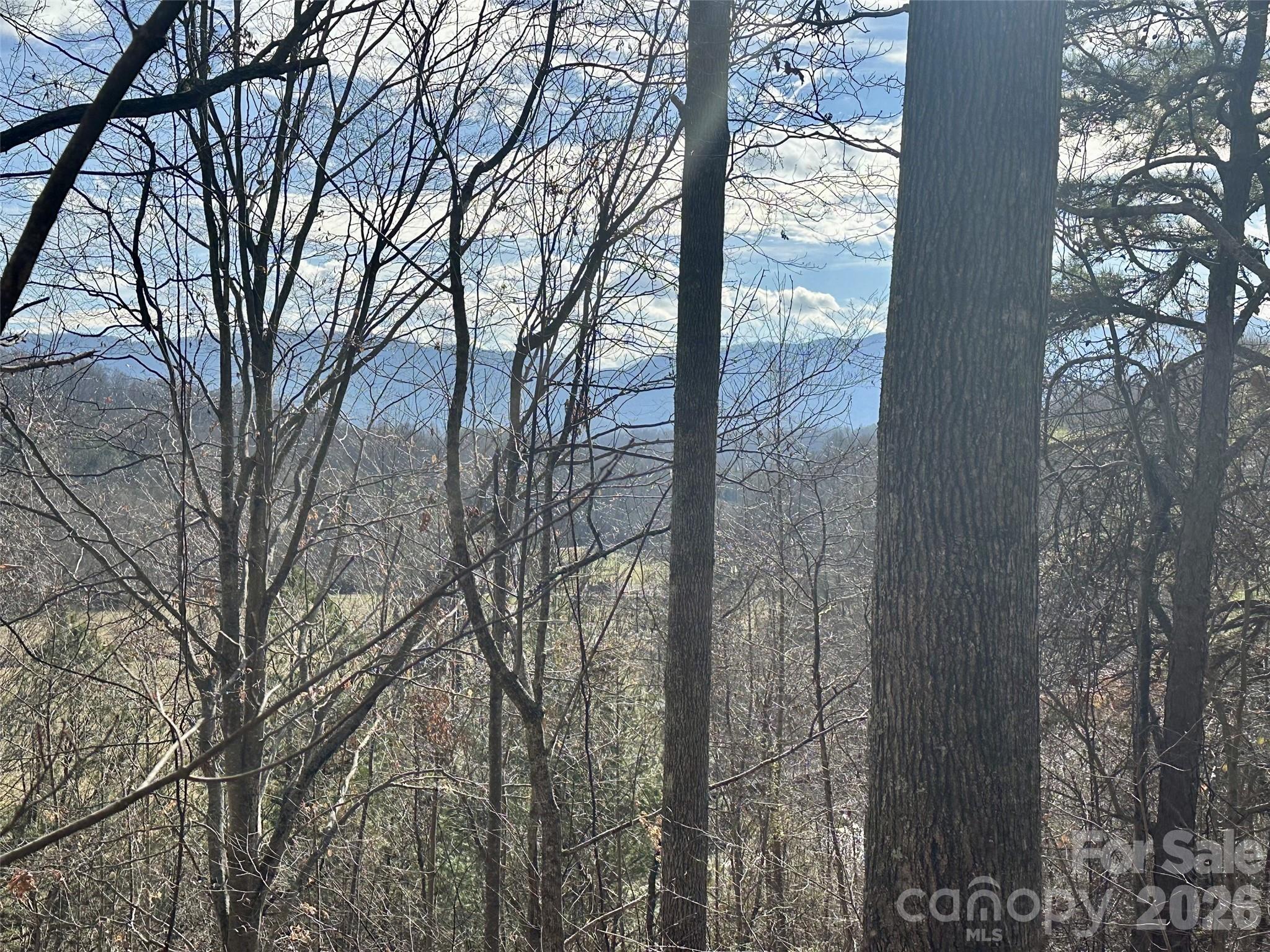 00 Queen Cove Road Waynesville NC 28785