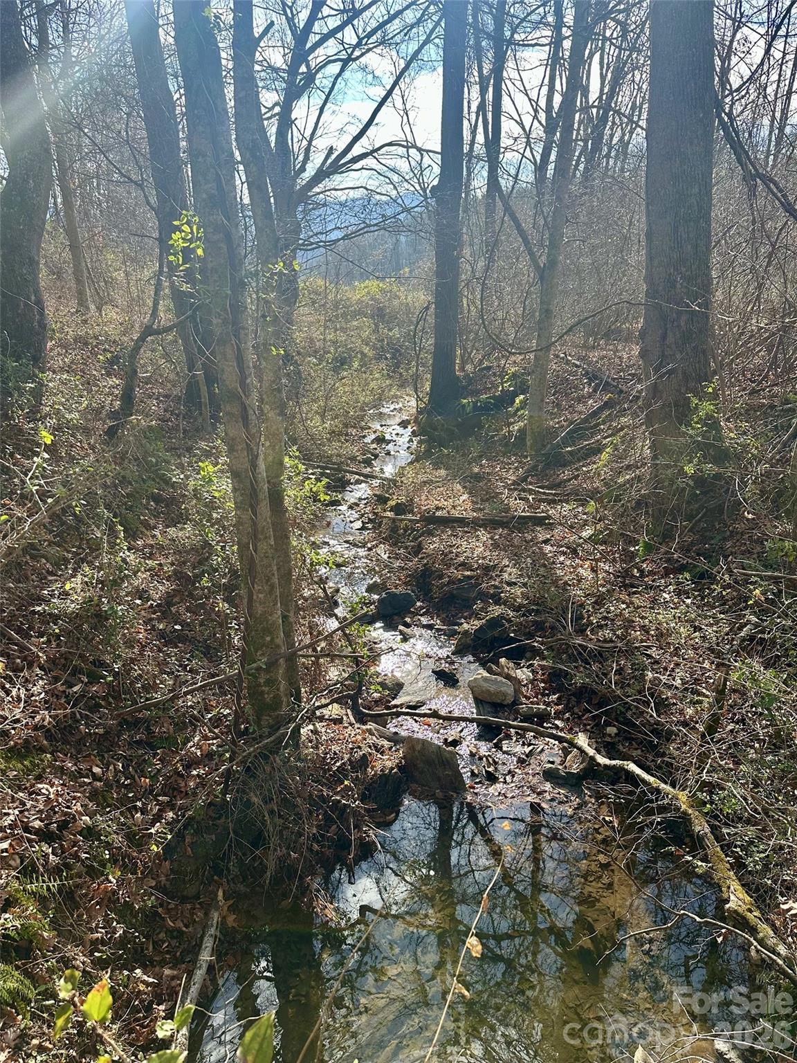 00 Queen Cove Road Waynesville NC 28785