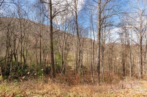 00 Terrys Gap Road Fletcher NC 28732