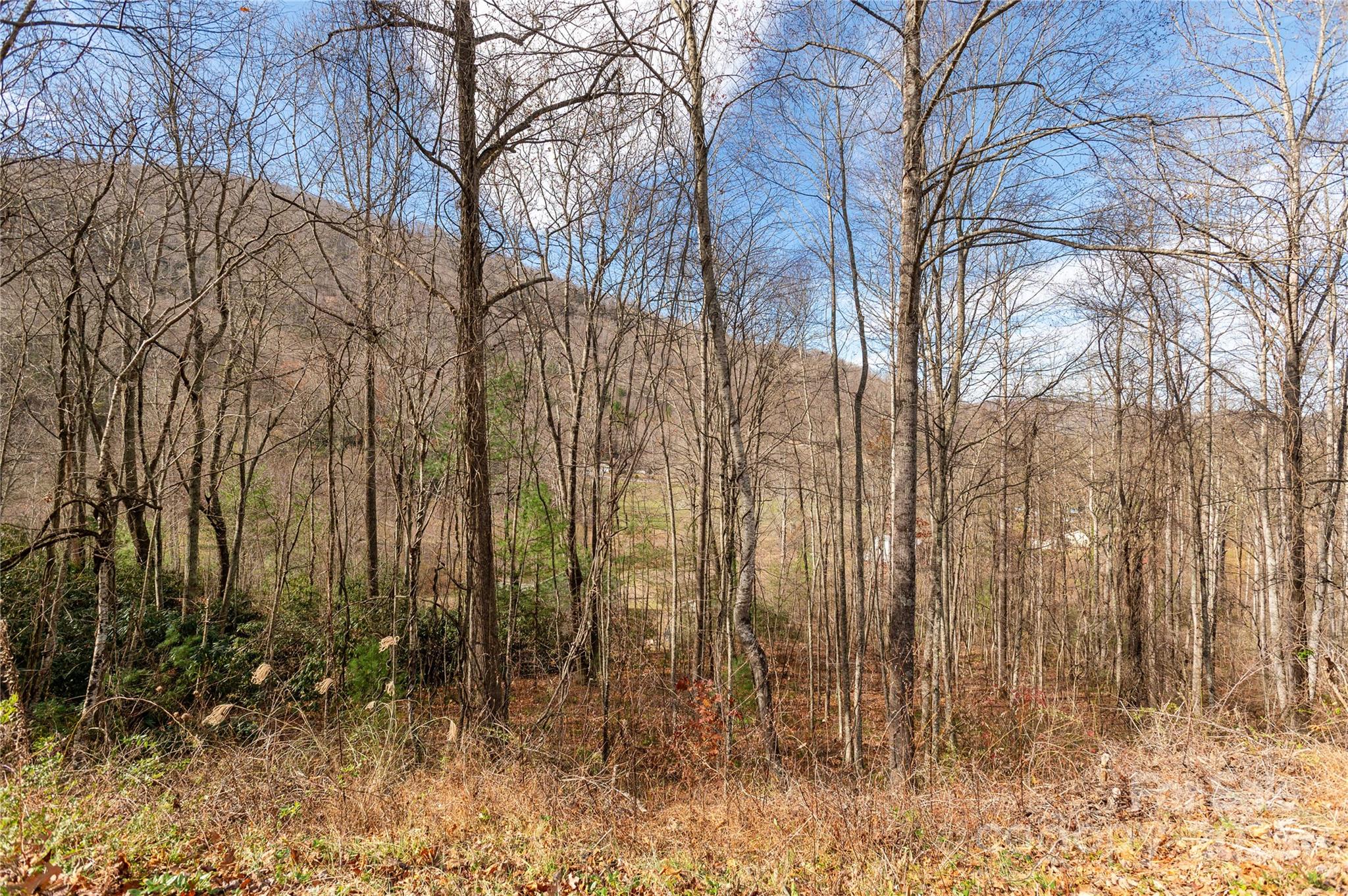 00 Terrys Gap Road Fletcher NC 28732
