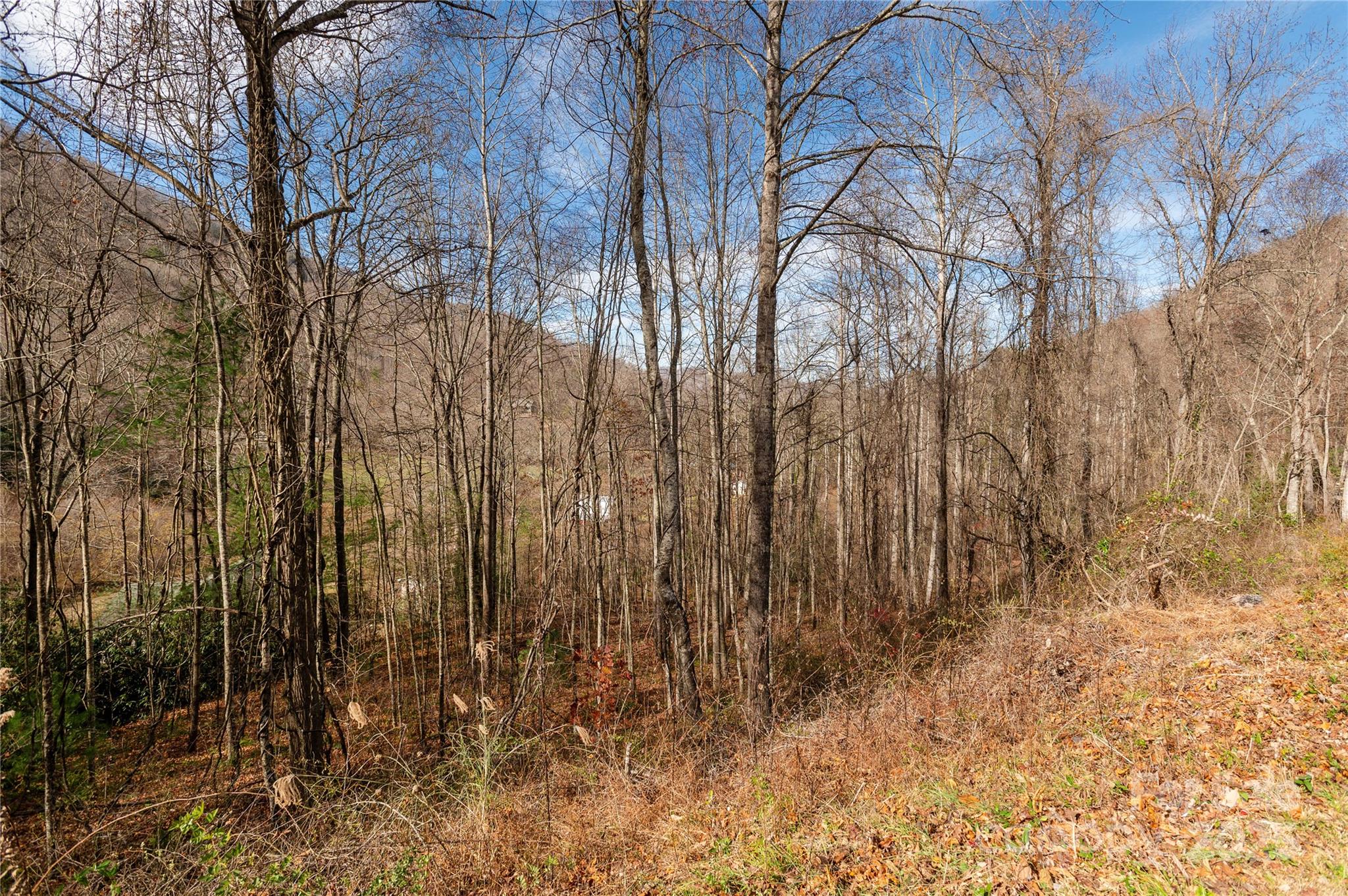 00 Terrys Gap Road Fletcher NC 28732
