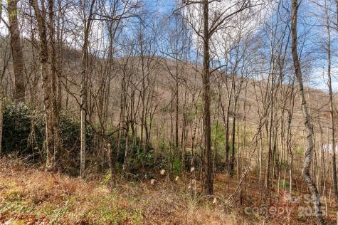 00 Terrys Gap Road Fletcher NC 28732
