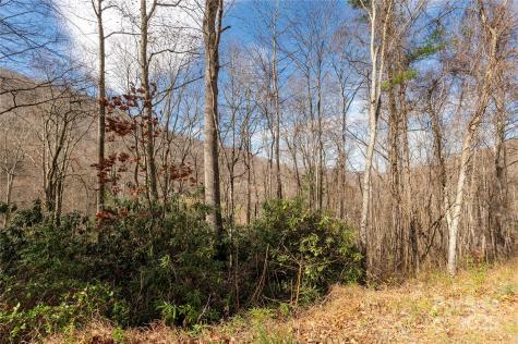 00 Terrys Gap Road Fletcher NC 28732