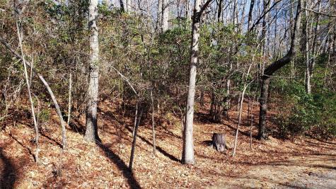 9999 Galax Lane Brevard NC 28712