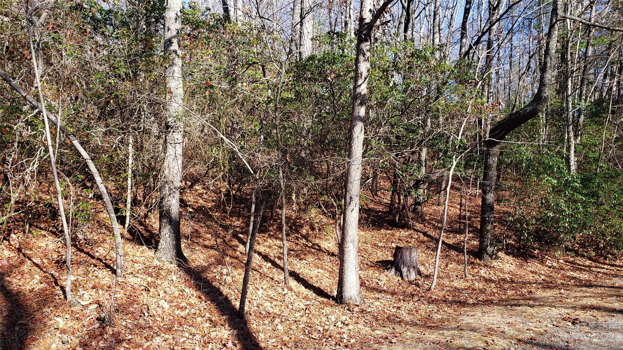 9999 Galax Lane Brevard NC 28712