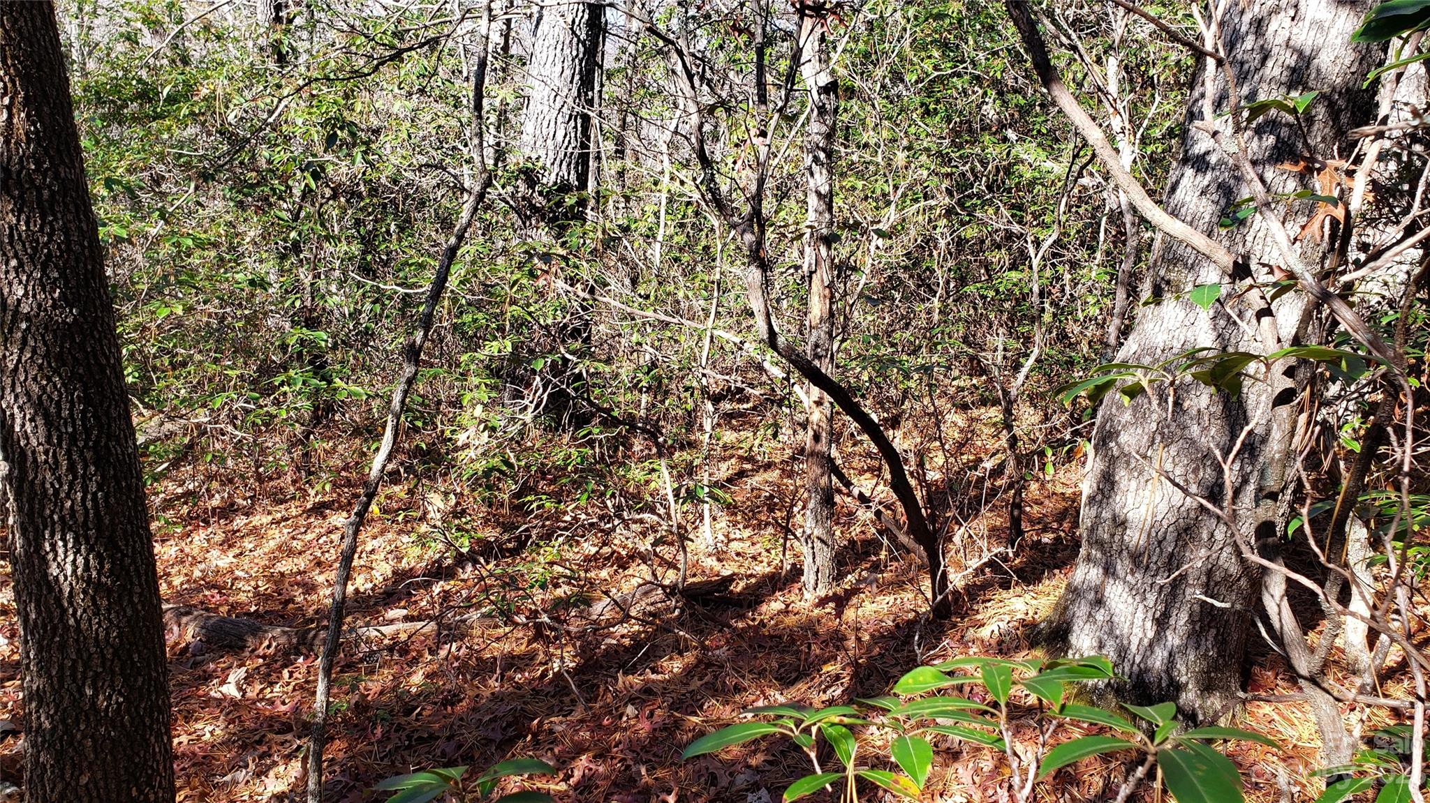 9999 Galax Lane Brevard NC 28712