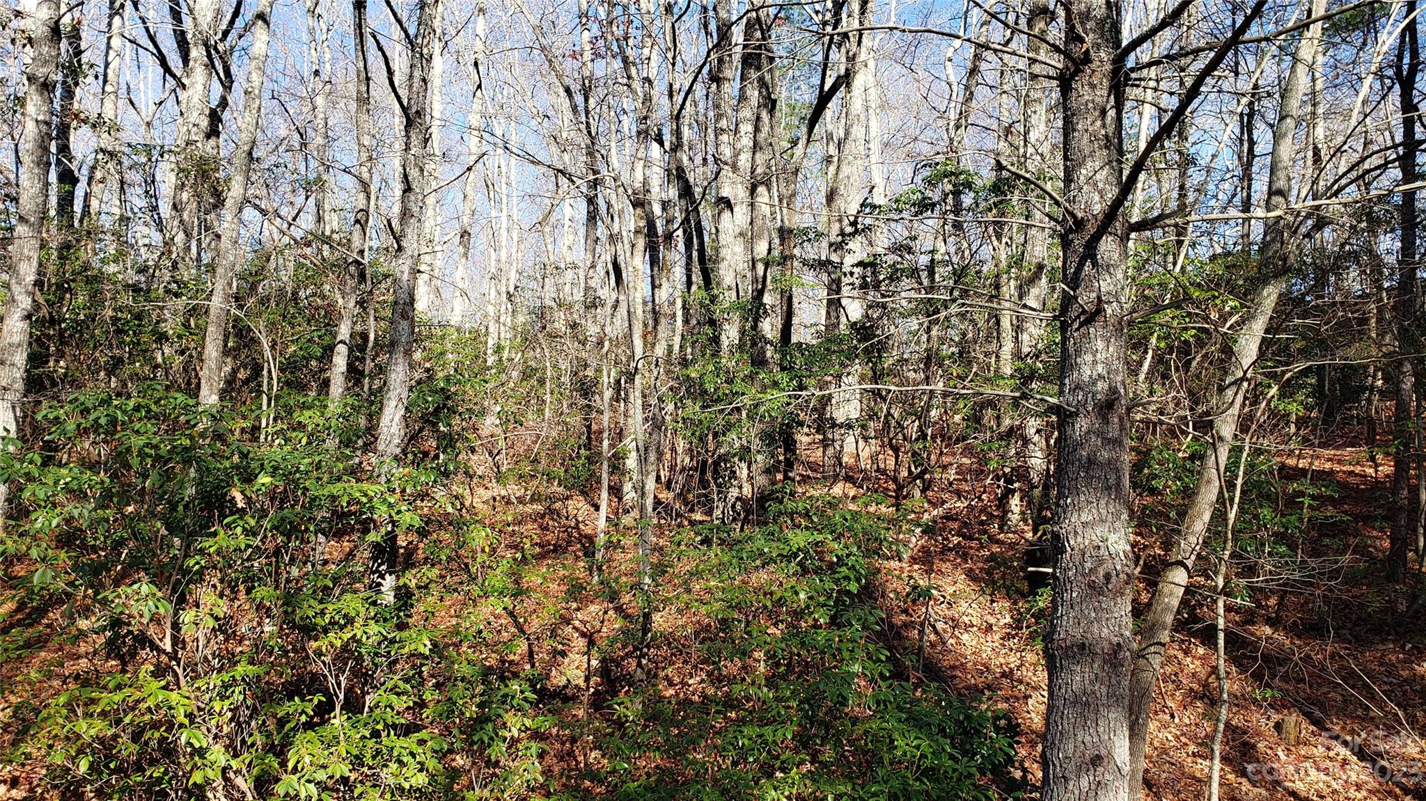 9999 Galax Lane Brevard NC 28712