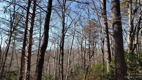 9999 Galax Lane Brevard NC 28712