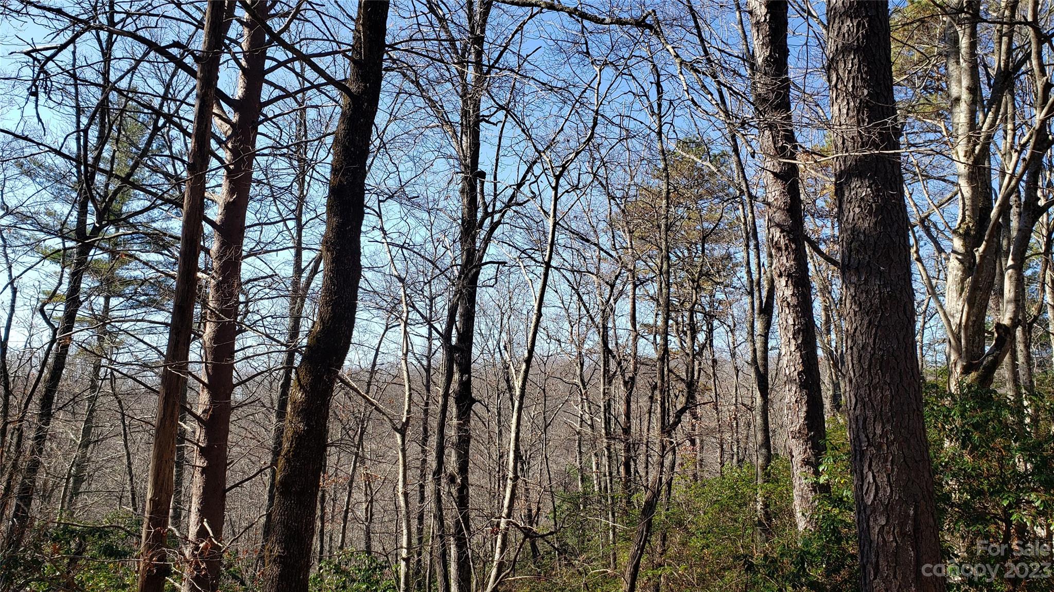 9999 Galax Lane Brevard NC 28712