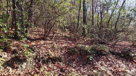 9999 Galax Lane Brevard NC 28712