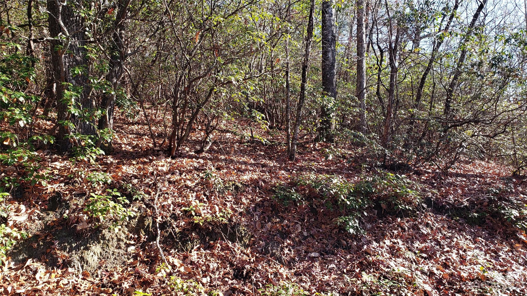 9999 Galax Lane Brevard NC 28712
