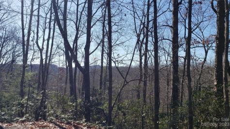 9999 Galax Lane Brevard NC 28712