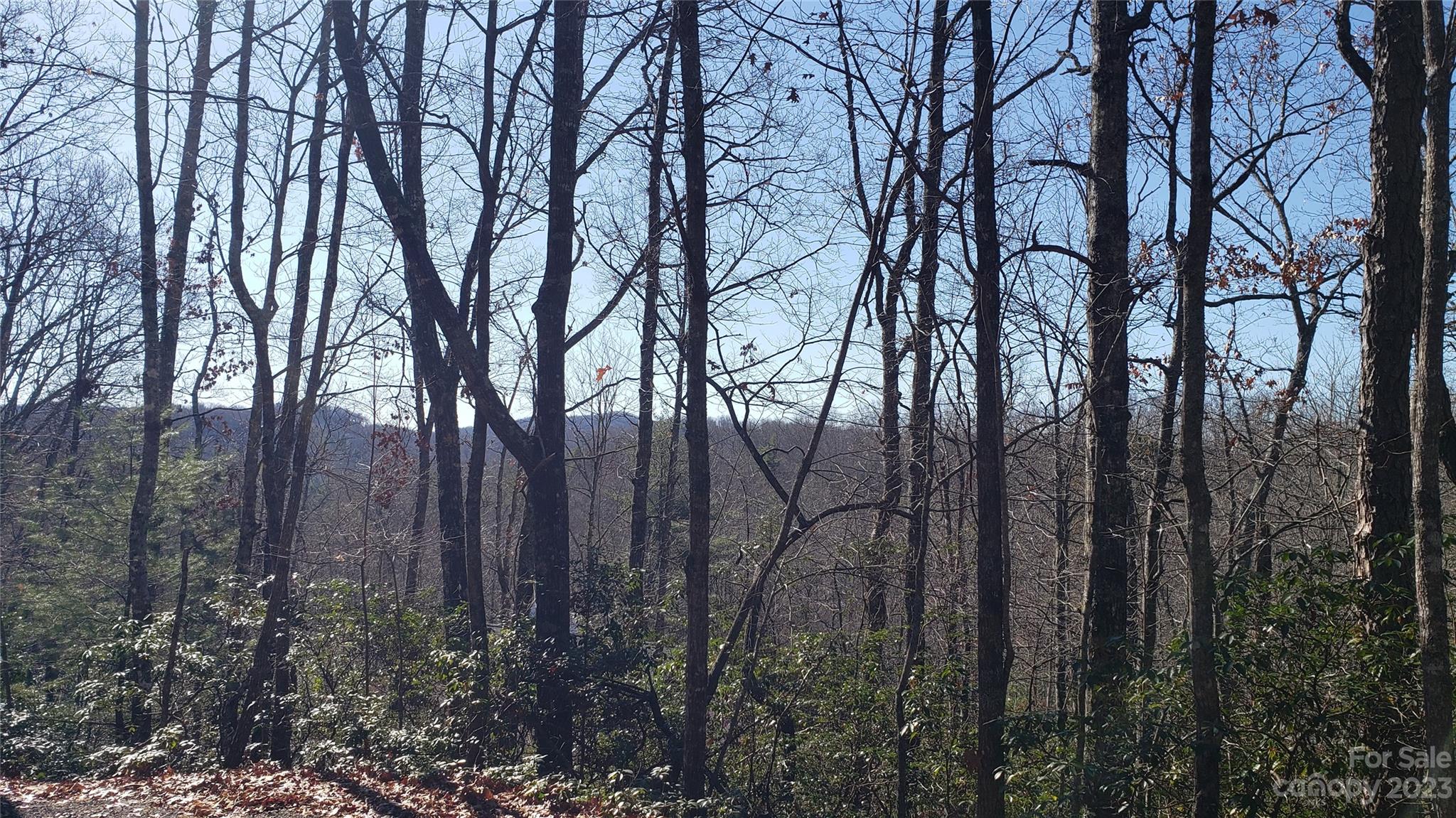 9999 Galax Lane Brevard NC 28712