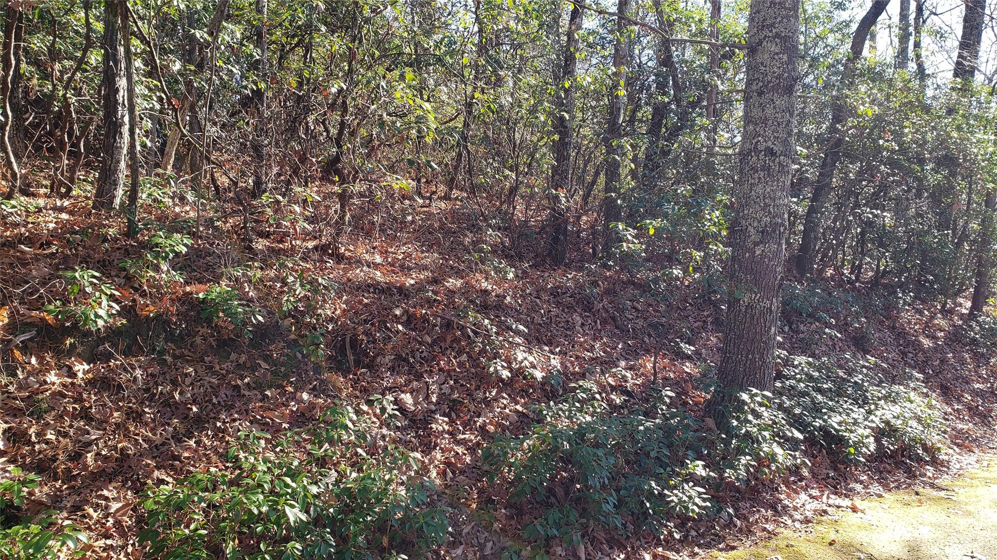 9999 Galax Lane Brevard NC 28712