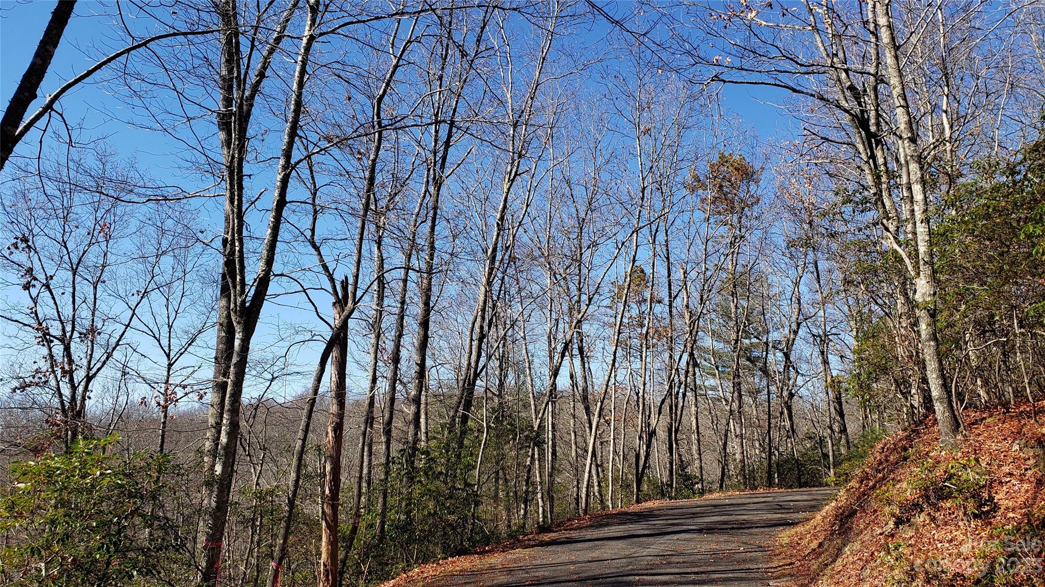 9999 Galax Lane Brevard NC 28712
