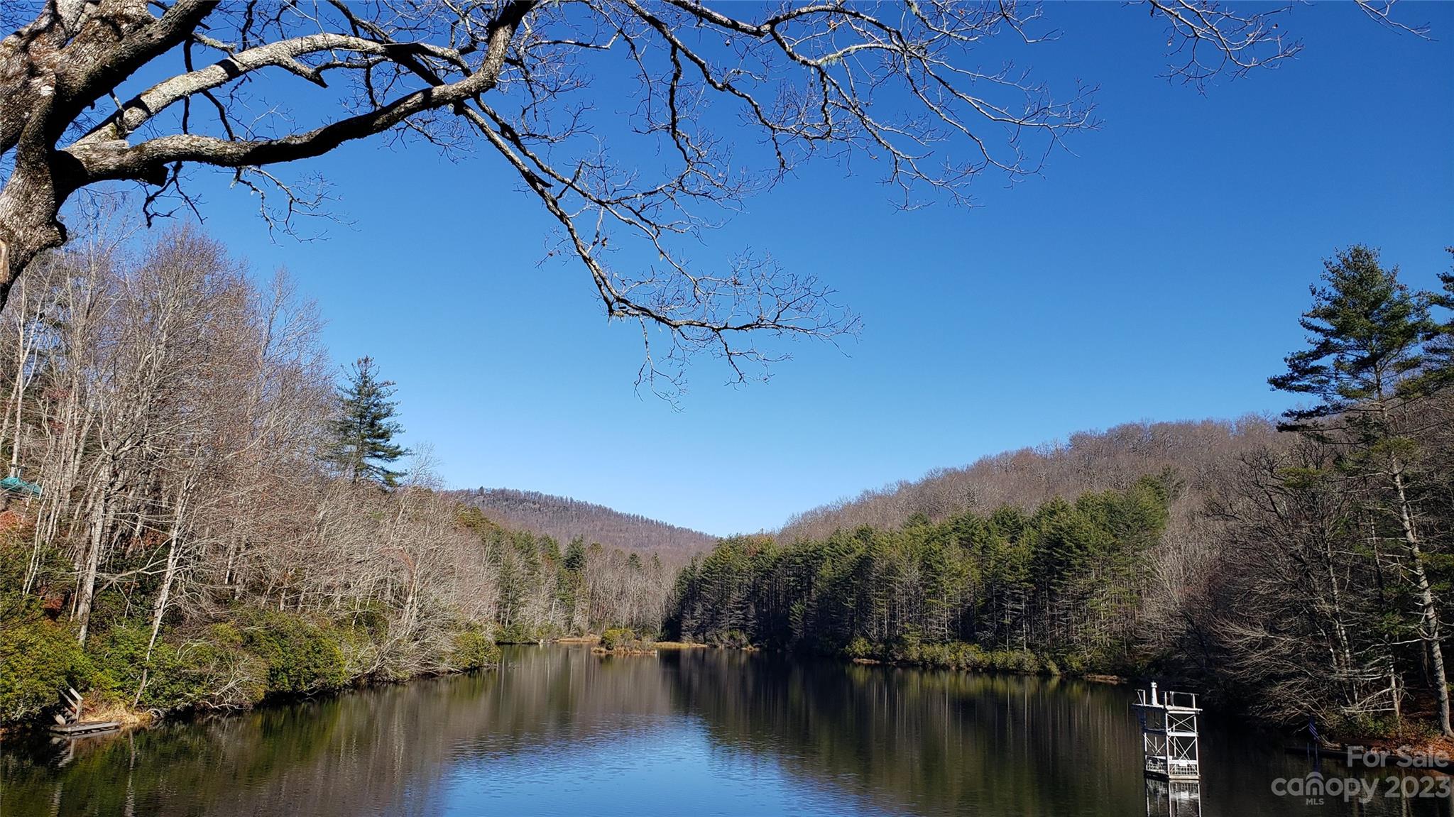 9999 Galax Lane Brevard NC 28712