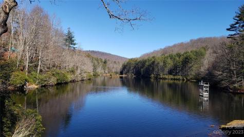 9999 Galax Lane Brevard NC 28712