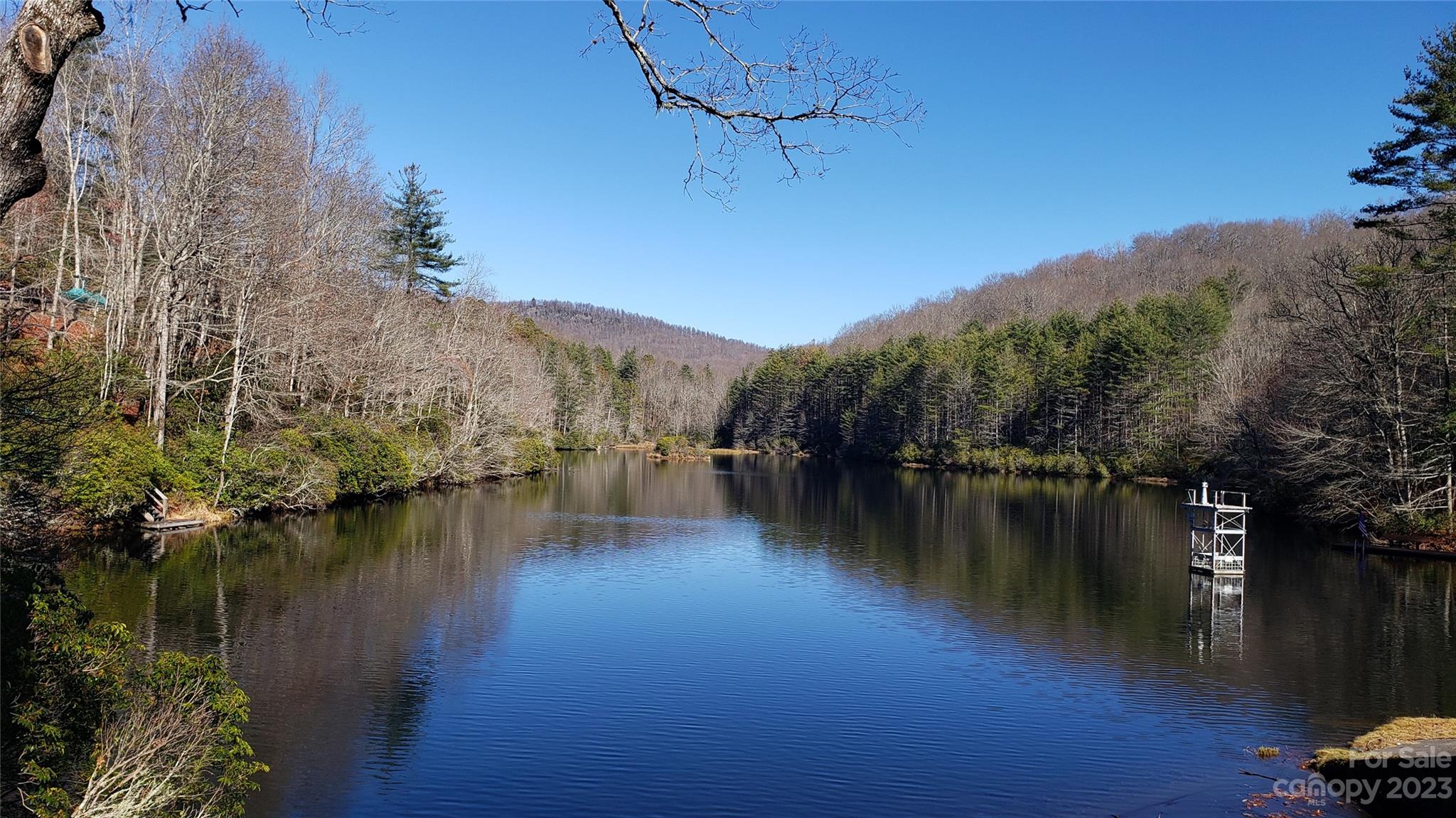 9999 Galax Lane Brevard NC 28712