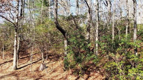 9999 Galax Lane Brevard NC 28712